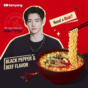 MEP Black Pepper and Beef Flavor.